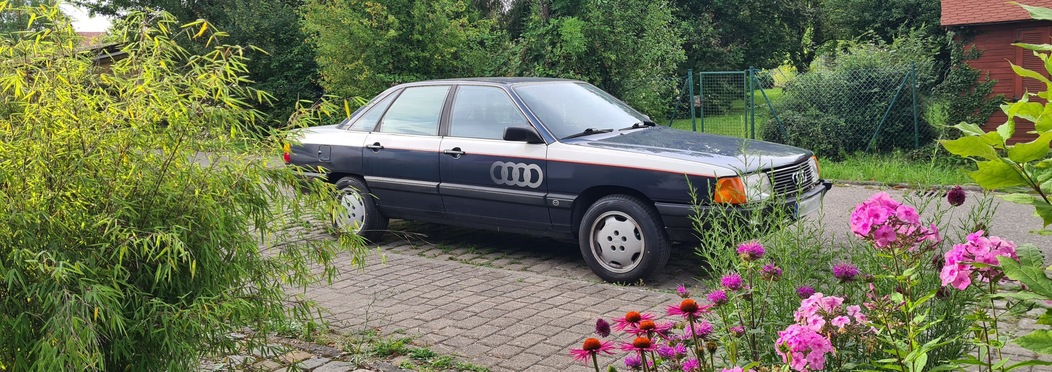 audi100-c3